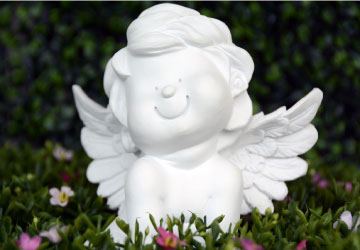 felhasználási terület